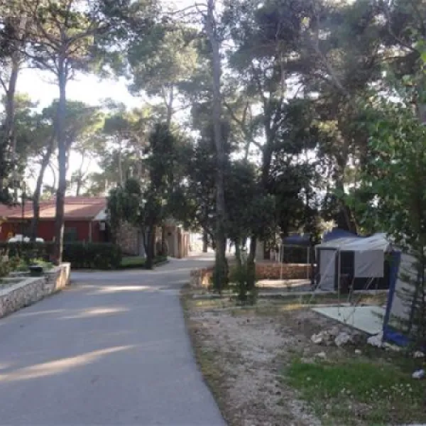 camping-park-soline-biograd-na-moru-colfv