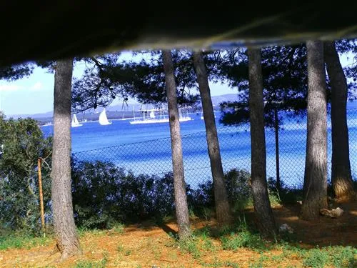 camping-park-soline-biograd-na-moru-nqw5q