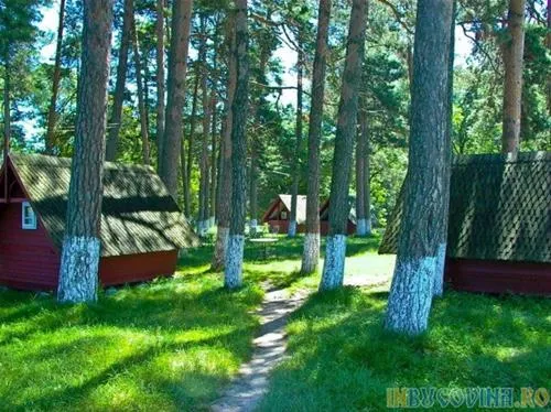 camping-dragomirna-mitocu-dragomirnei-pulhl