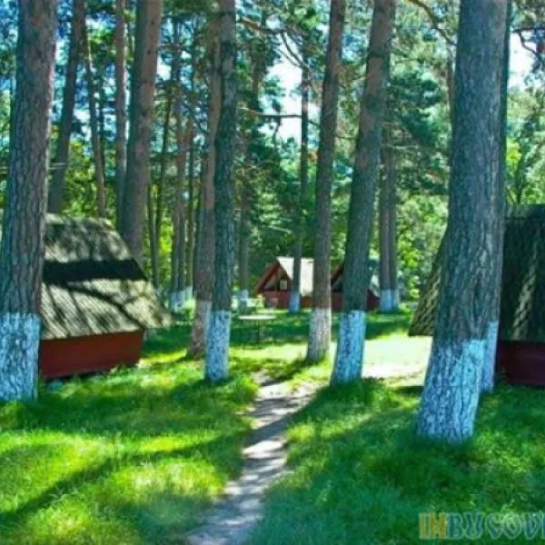 Camping Dragomirna