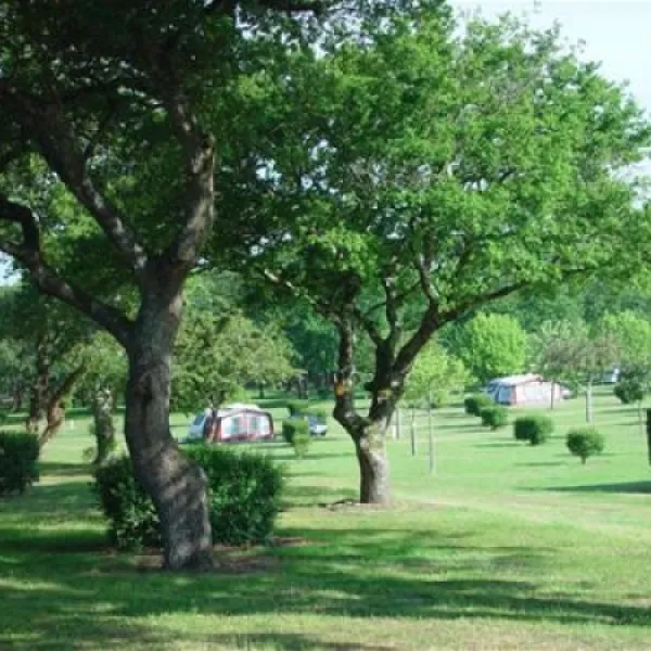 camping-le-logis-du-breuil-st-augustin-sur-mer-g17bt