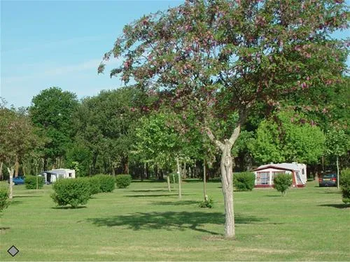 camping-le-logis-du-breuil-st-augustin-sur-mer-hyvjh
