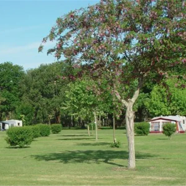 camping-le-logis-du-breuil-st-augustin-sur-mer-hyvjh