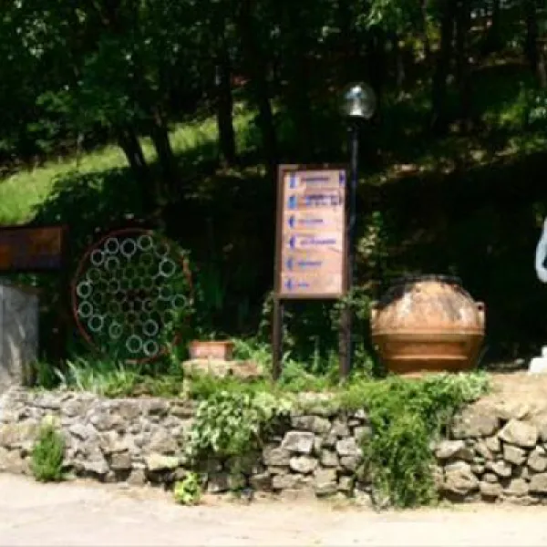 camping-firenze-firenze-eimsl
