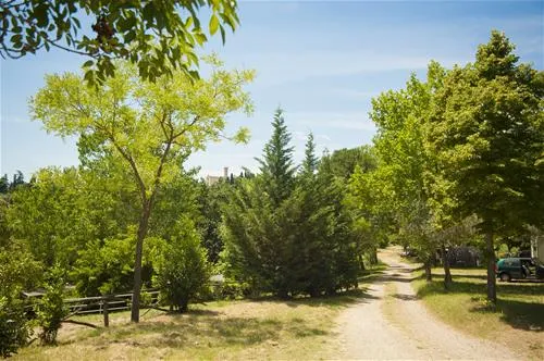 camping-firenze-firenze-lvh5t