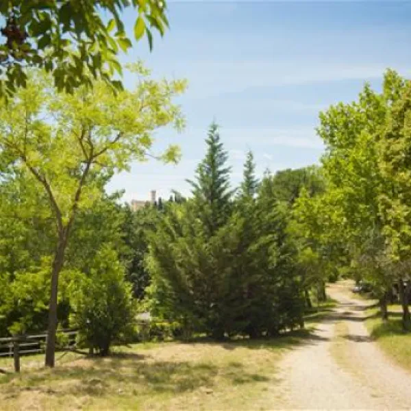 camping-firenze-firenze-lvh5t
