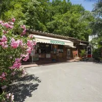 camping-firenze-firenze-oiqnq