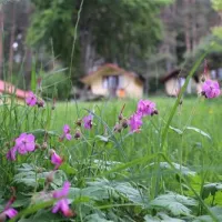 na-zeleno-camping-batak-1ixha