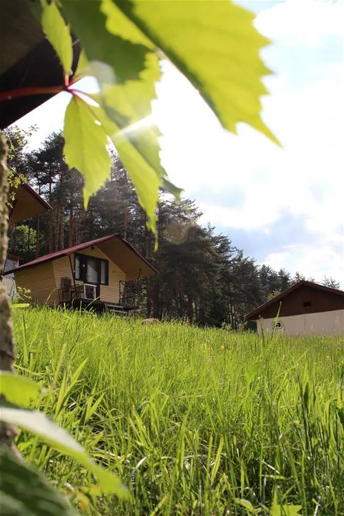 na-zeleno-camping-batak-iiuti