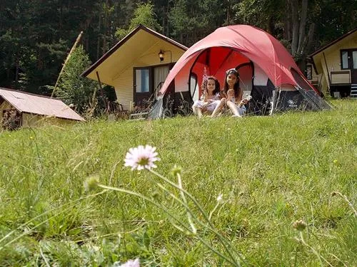 na-zeleno-camping-batak-xjysd