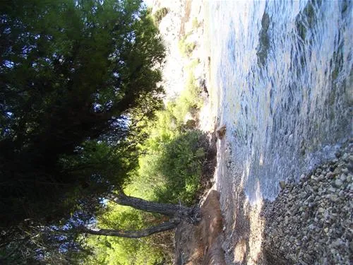 isthmia-beach-camping-isthmia-4m0uz