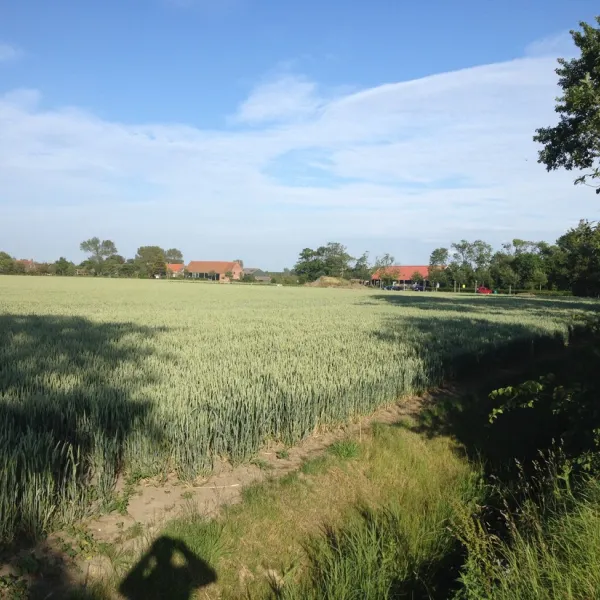 camping-duinzicht-koudekerke-7glls
