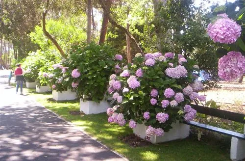 parque-de-campismo-orbitur-mira-dunas-de-mira-60zfq
