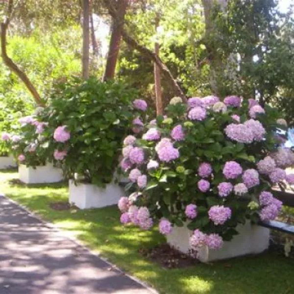 parque-de-campismo-orbitur-mira-dunas-de-mira-60zfq
