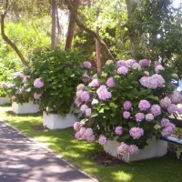 parque-de-campismo-orbitur-mira-dunas-de-mira-60zfq
