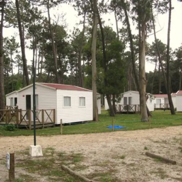 parque-de-campismo-orbitur-mira-dunas-de-mira-mqhxg