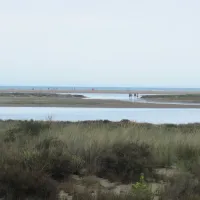 camping-ensoya-sigean-ivenj