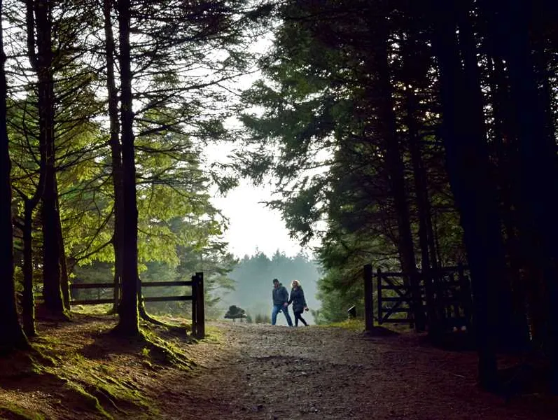 beacon-fell-view-preston-dcrvx