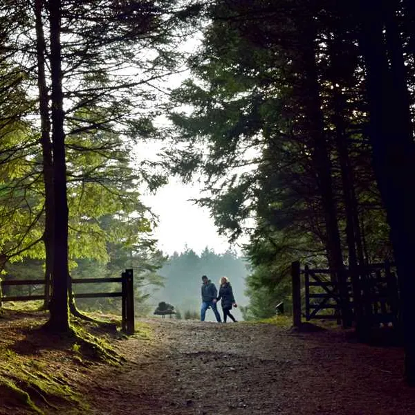 beacon-fell-view-preston-dcrvx