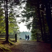 beacon-fell-view-preston-dcrvx