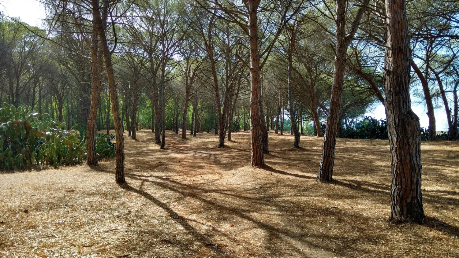 campeggio-torre-grande-torre-grande-uv4d3