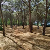 Campeggio Torre Grande