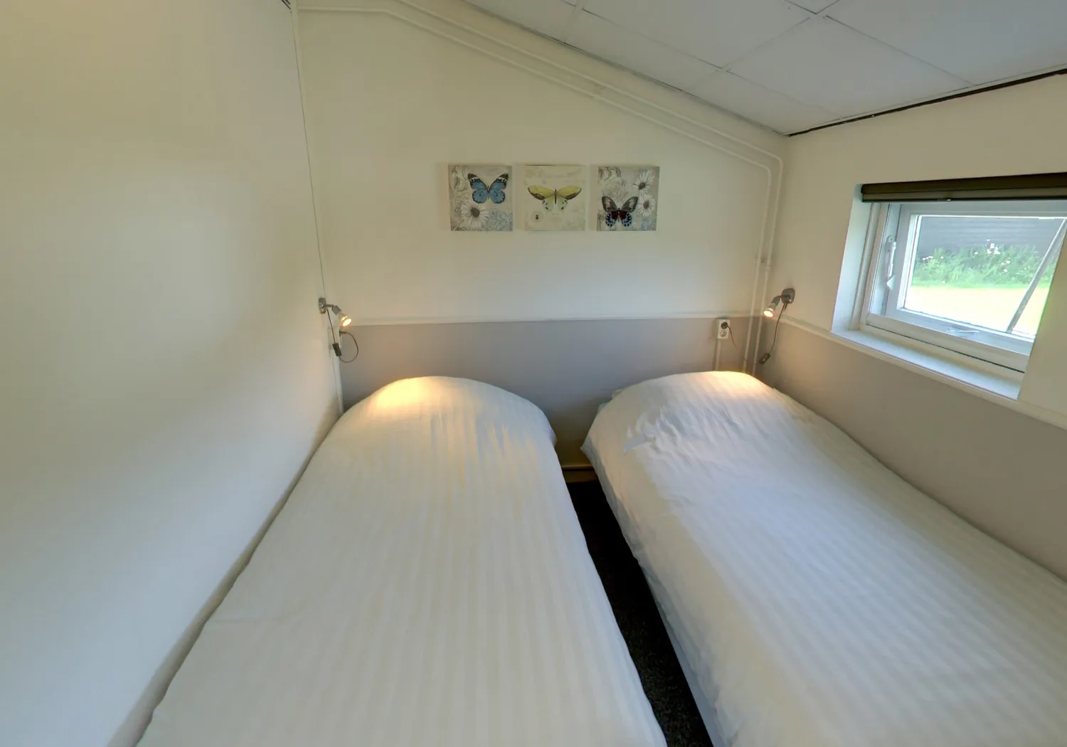 boerderijcamping-het-varsenerveld-ommen-hqbxo