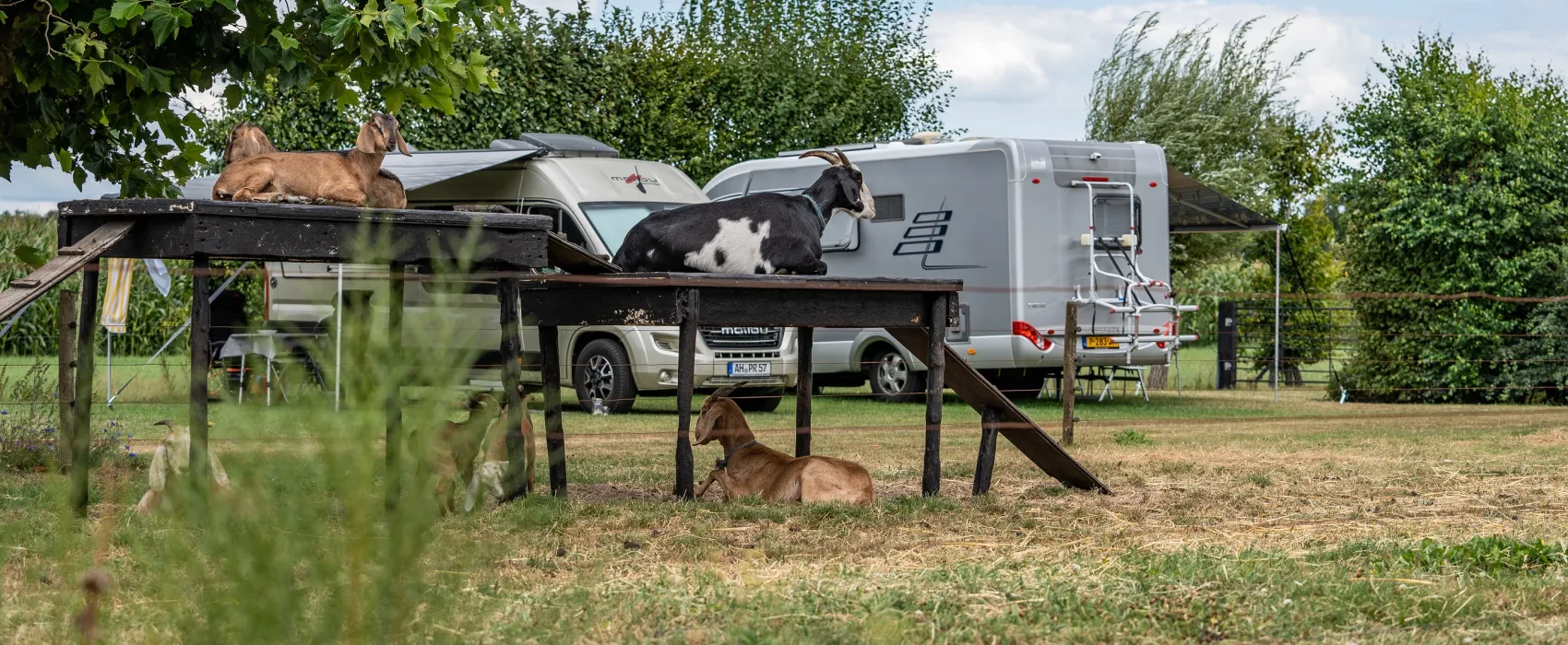 Boerderijcamping Varsenerveld
