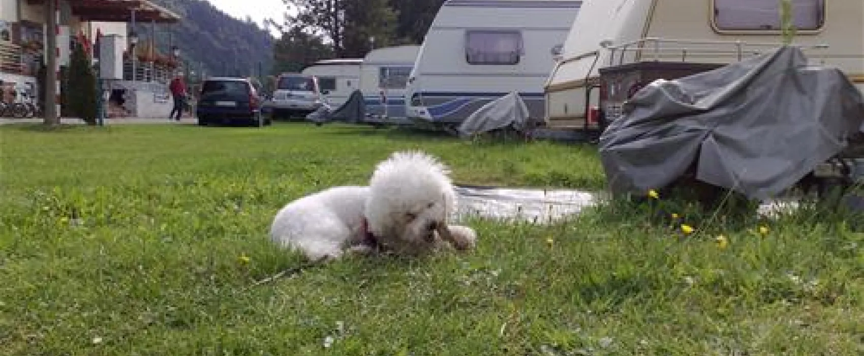 Camping Uferwiese