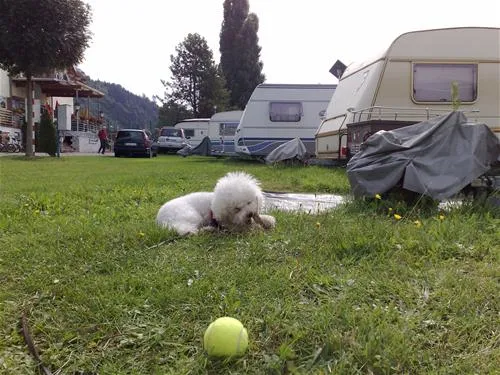 camping-uferwiese-braubach-5r5sf