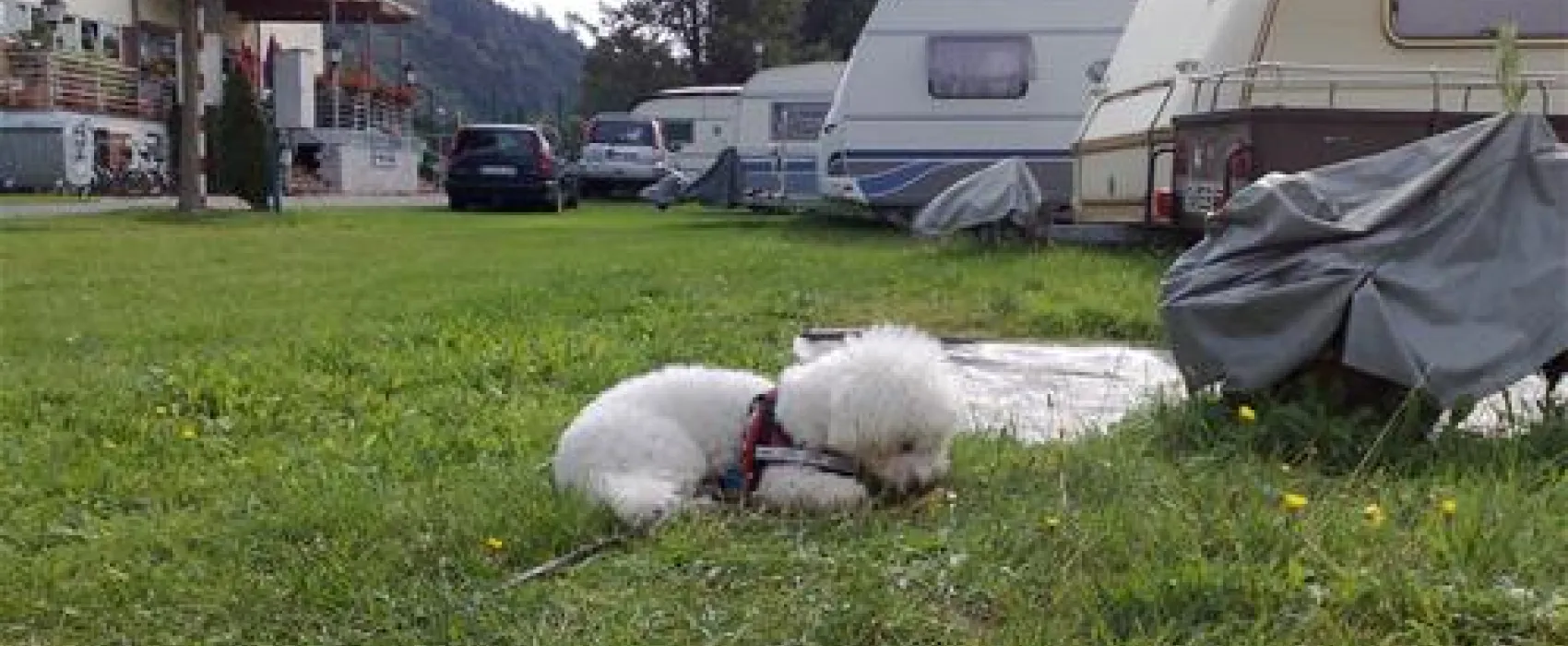 Camping Uferwiese