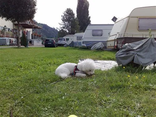 camping-uferwiese-braubach-b2f8n