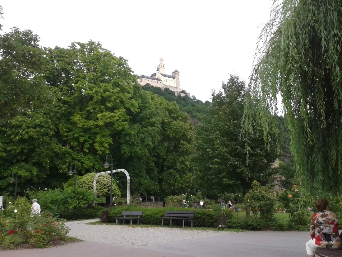 camping-uferwiese-braubach-iqklr