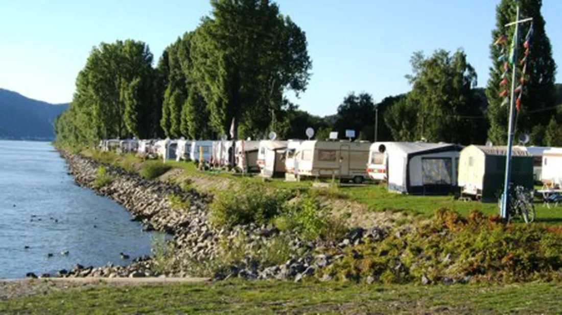 camping-uferwiese-braubach-q6wm6