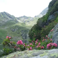 Camping Hautacam