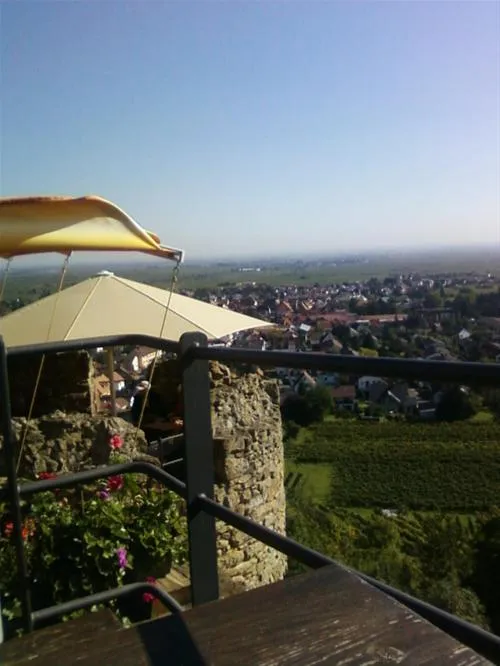 camping-im-burgtal-wachenheim-dhhed