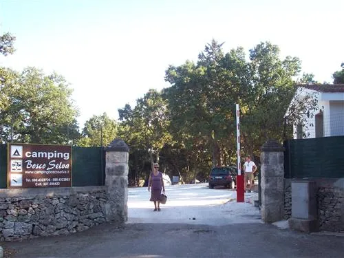 camping-bosco-selva-alberobello-e6nus