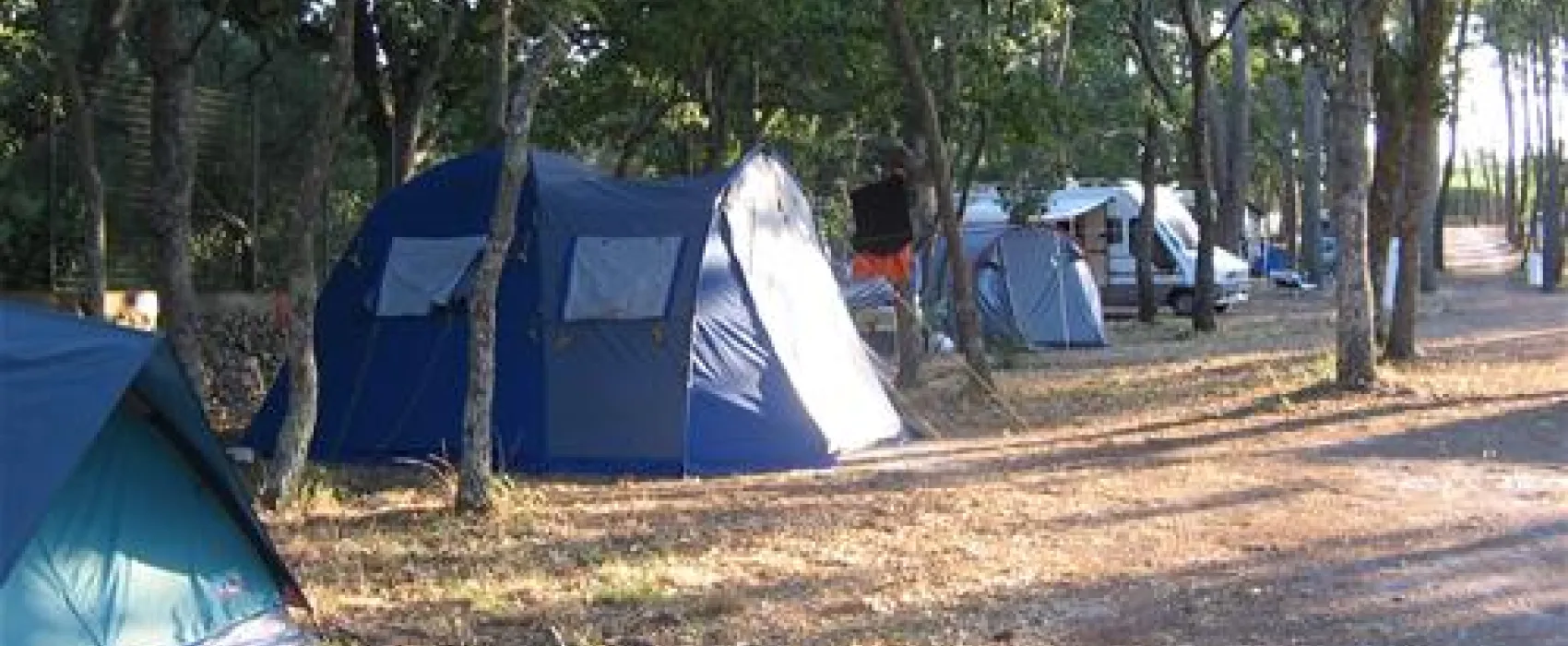 Camping Bosco Selva