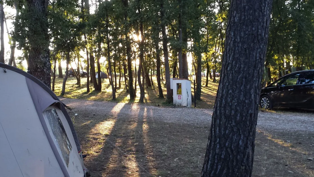 camping-bosco-selva-alberobello-q15do
