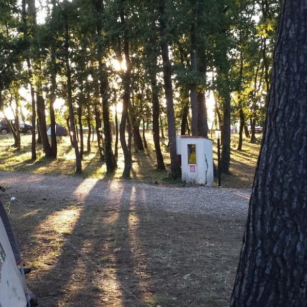 camping-bosco-selva-alberobello-q15do