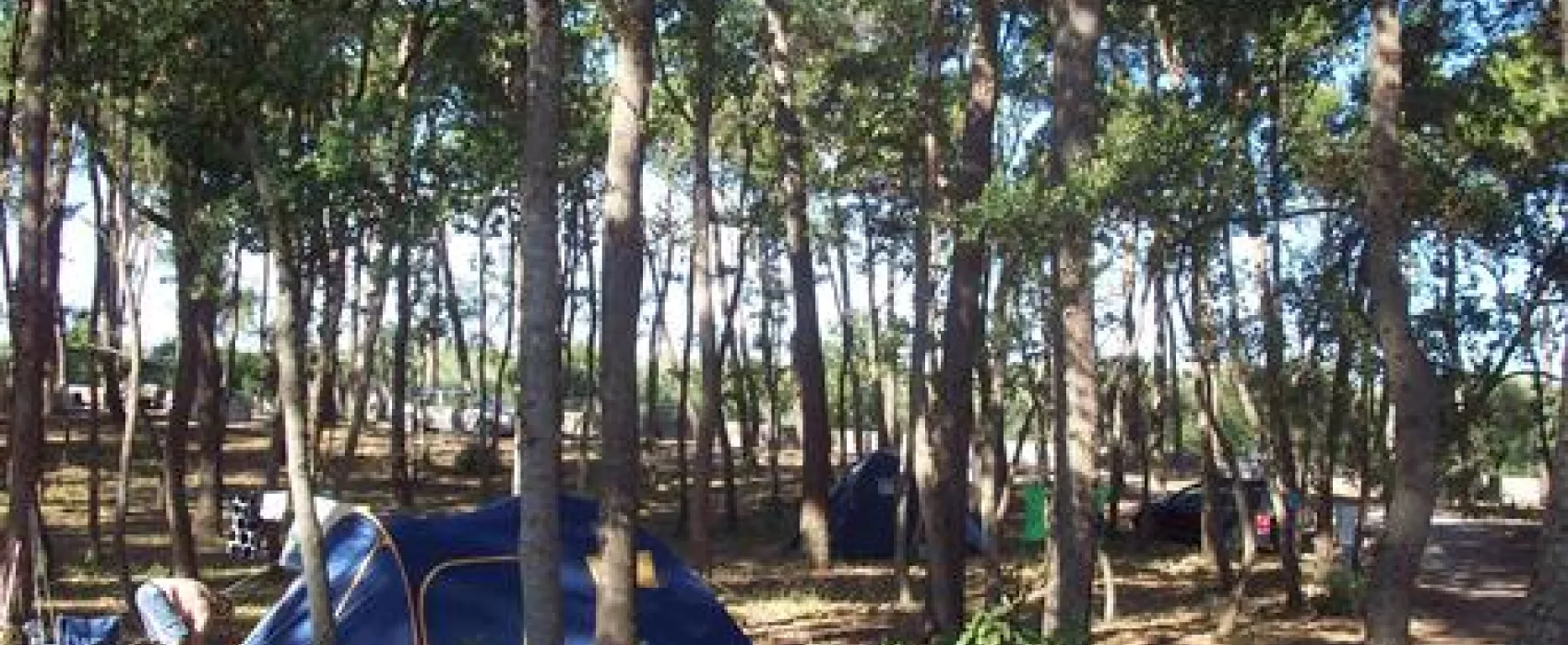 Camping Bosco Selva
