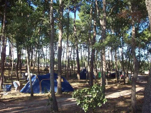 camping-bosco-selva-alberobello-ts0tn