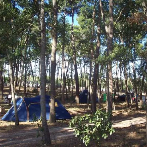 camping-bosco-selva-alberobello-ts0tn