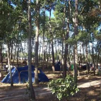 camping-bosco-selva-alberobello-ts0tn