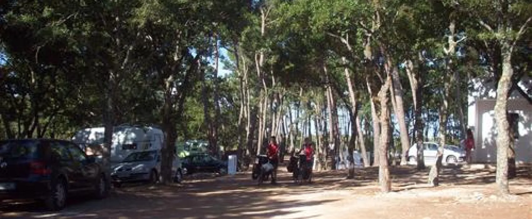 Camping Bosco Selva