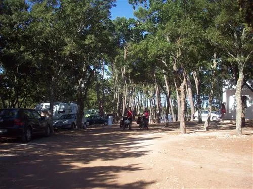camping-bosco-selva-alberobello-zmqxi