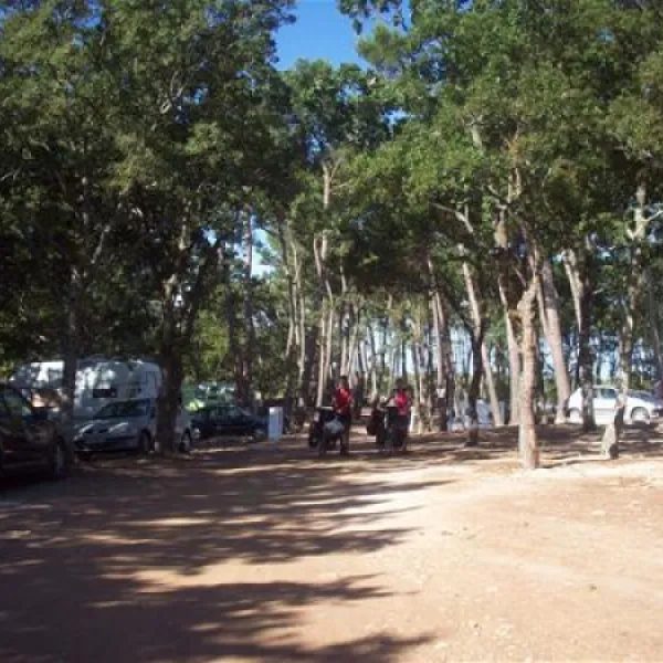 camping-bosco-selva-alberobello-zmqxi