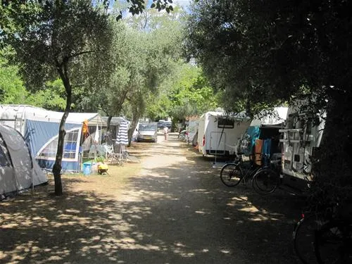 camping-moce-sv-filip-i-jakov-znmoy