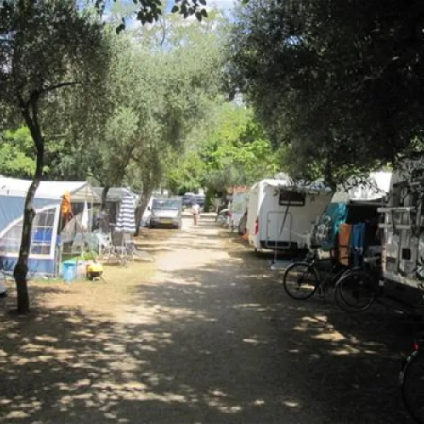 camping-moce-sv-filip-i-jakov-znmoy