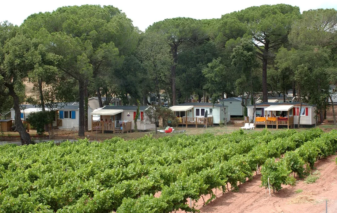 camping-les-cigales-var-r5oky
